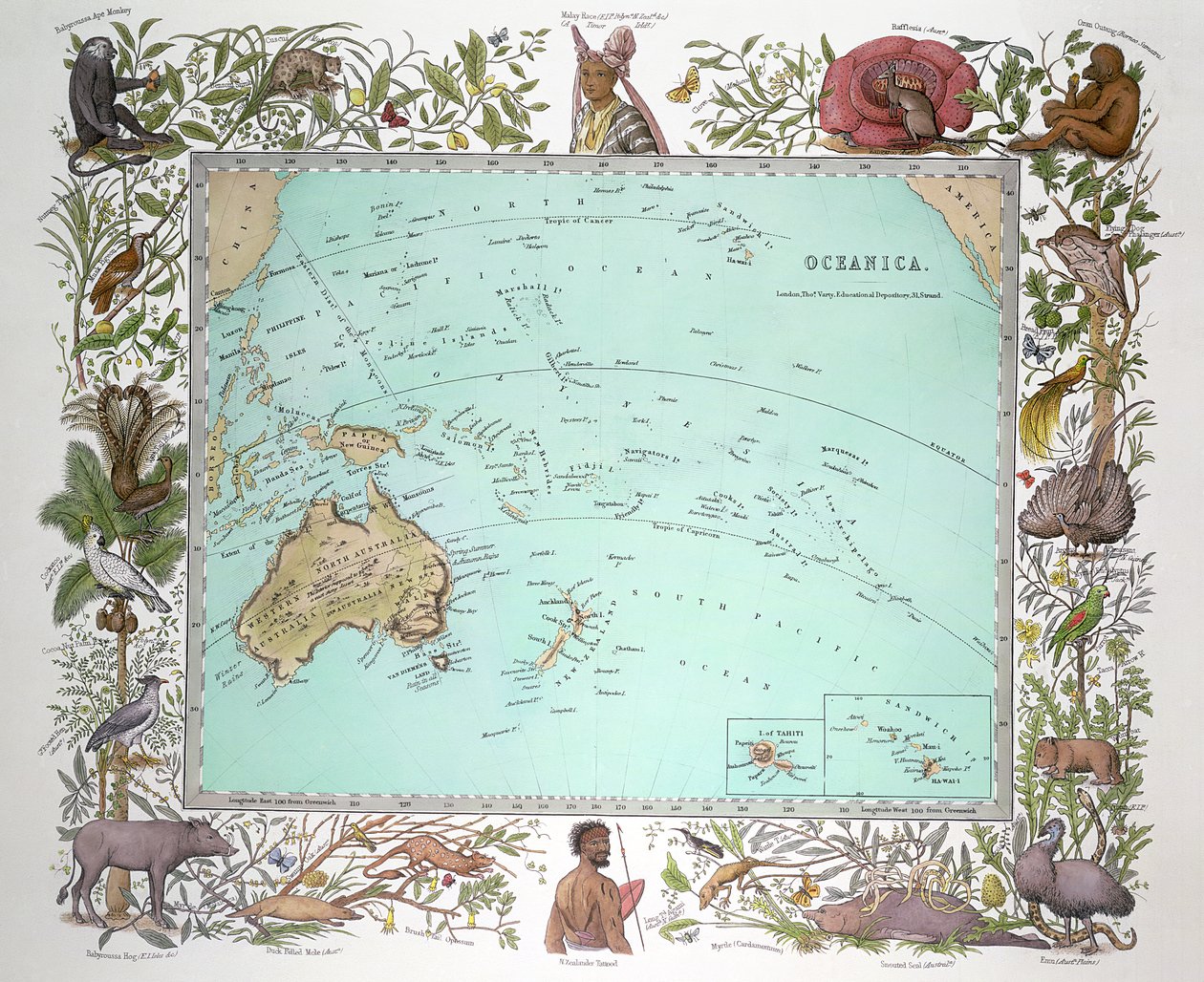 Oceanica, uit Vogel