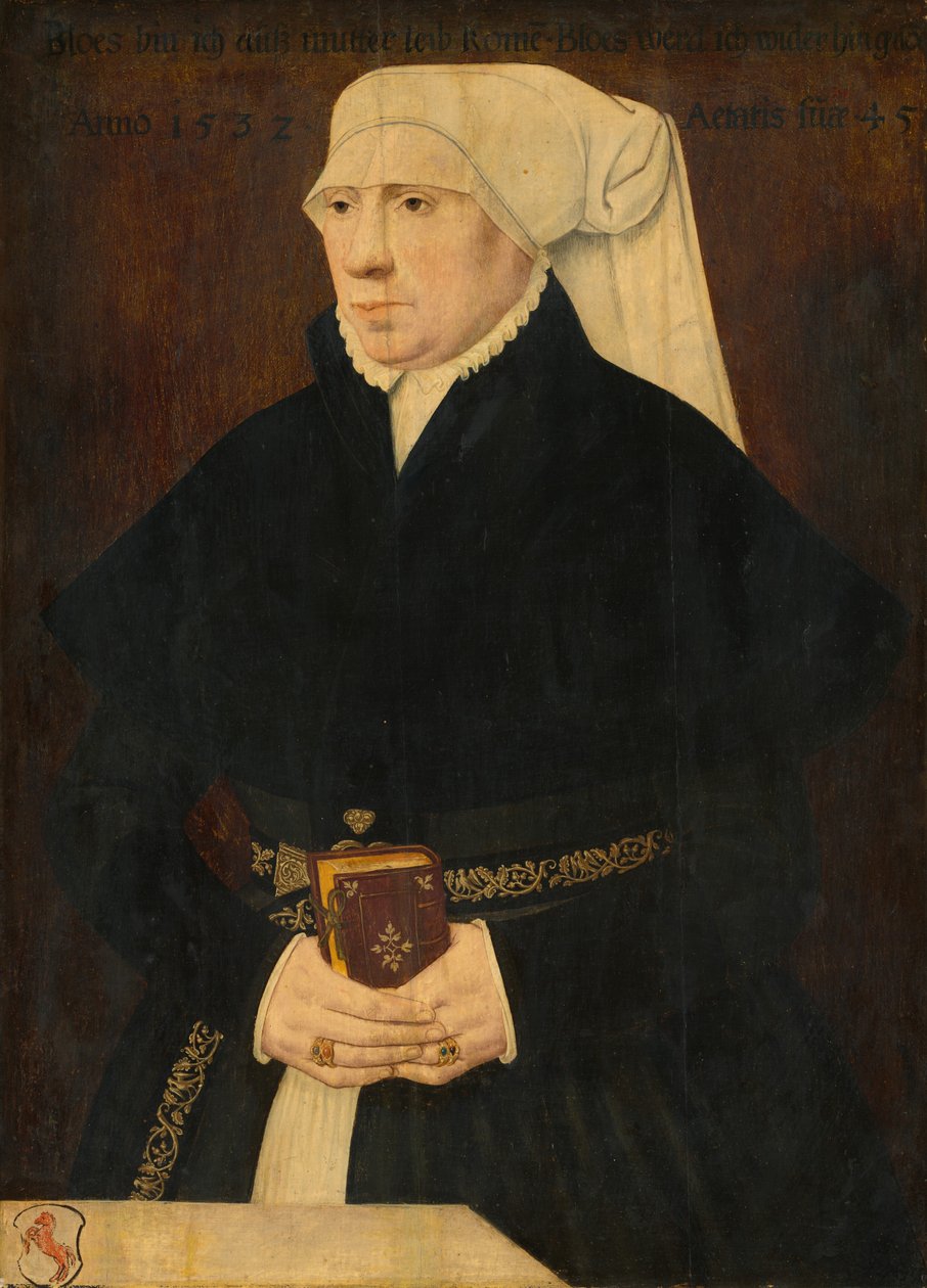 Portret van een dame door German 16th Century