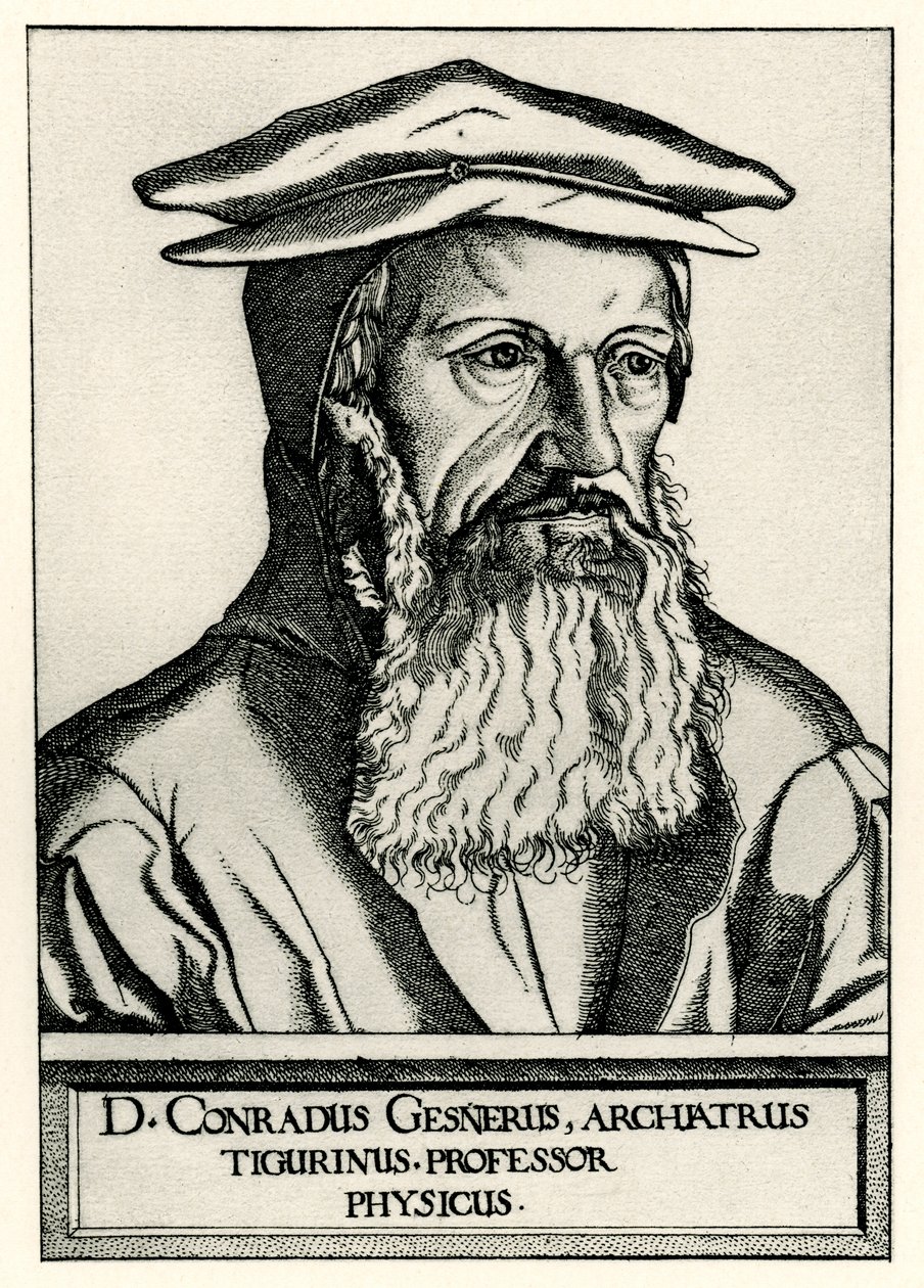 Konrad Gesner door German School