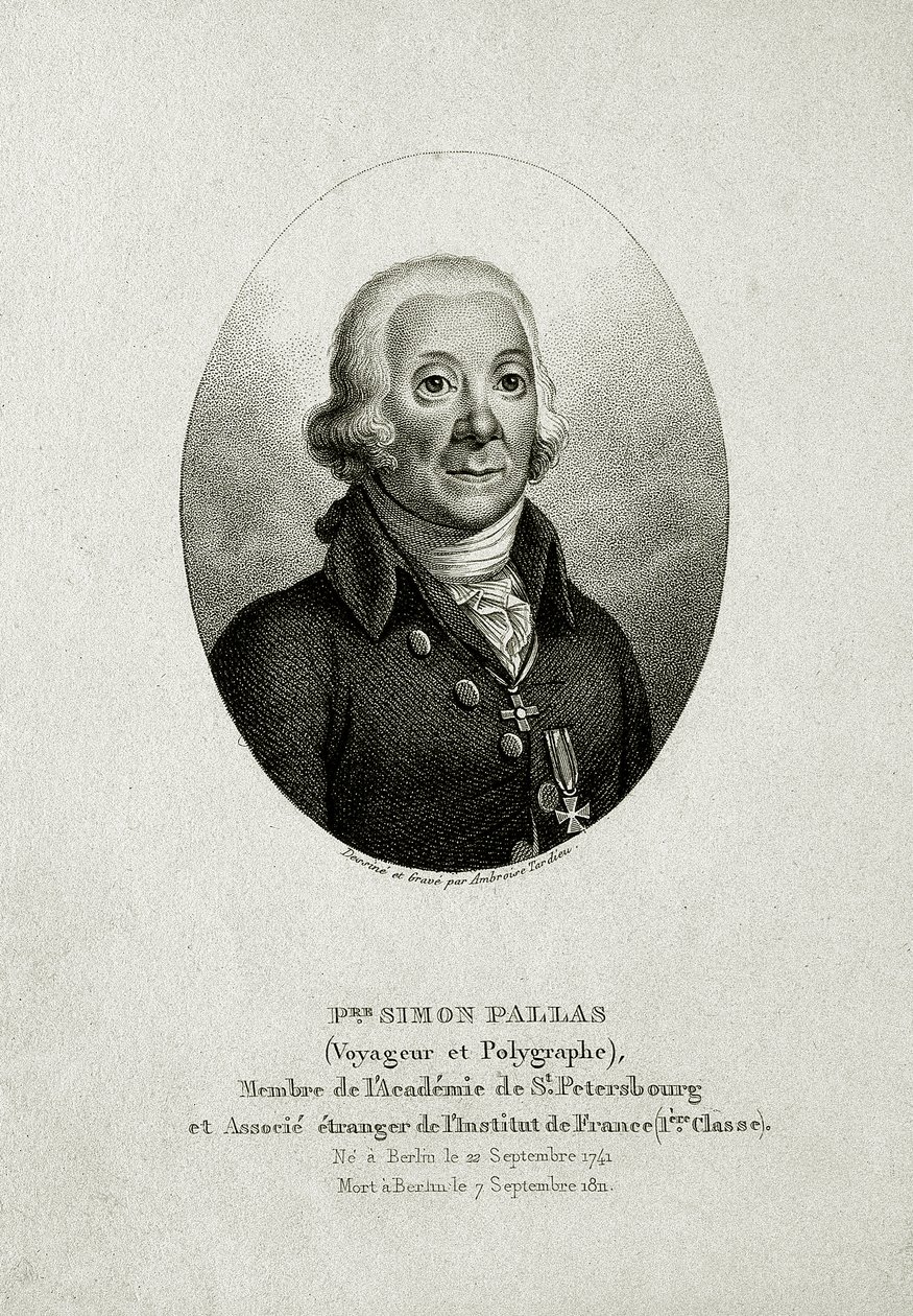 Peter Simon Pallas (1741–1811) door German School