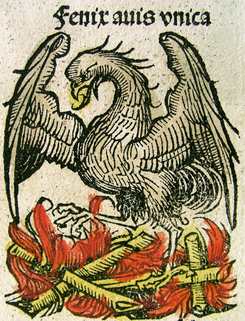 Phoenix, gepubliceerd in de Neurenberg Kroniek, 1493 door German School