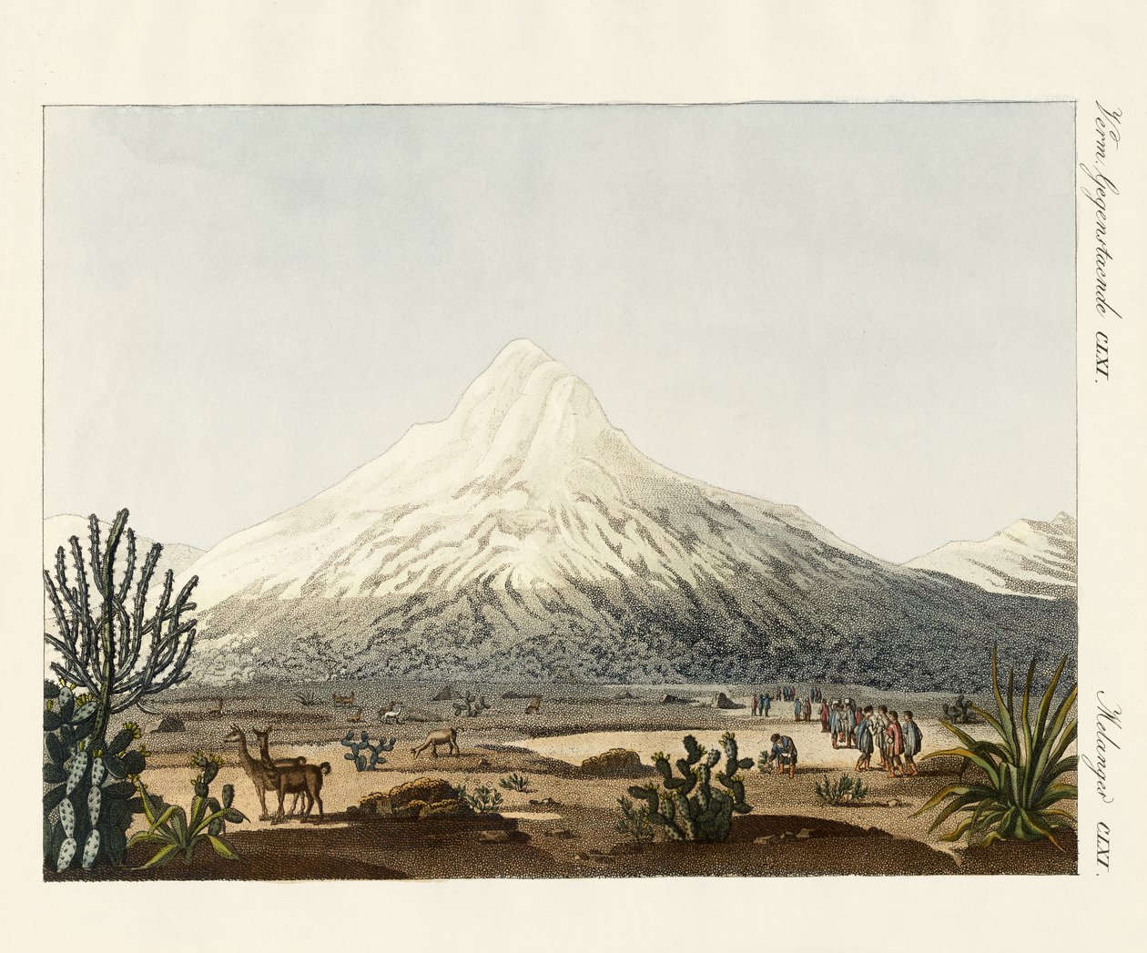 De Chimborazo in Zuid-Amerika door German School