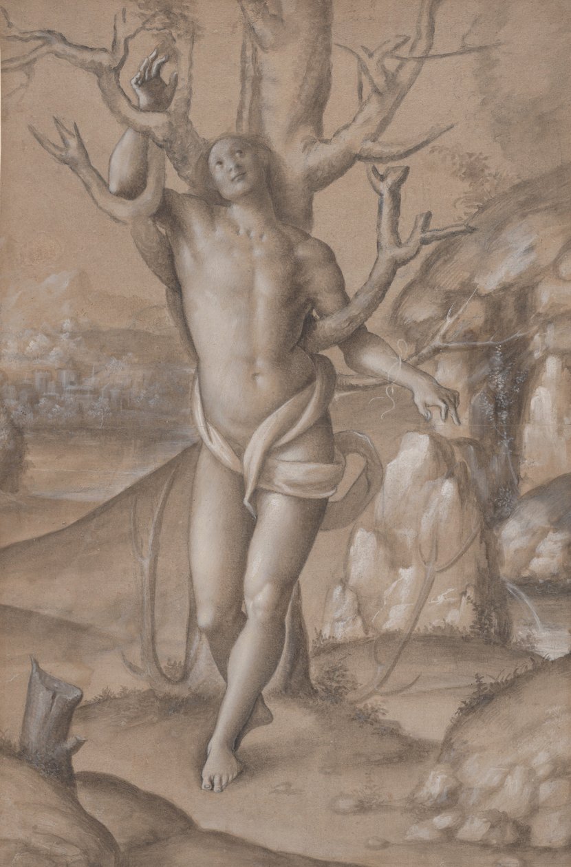 Sint Sebastiaan, ca. 1524 door Gerolamo Giovenone