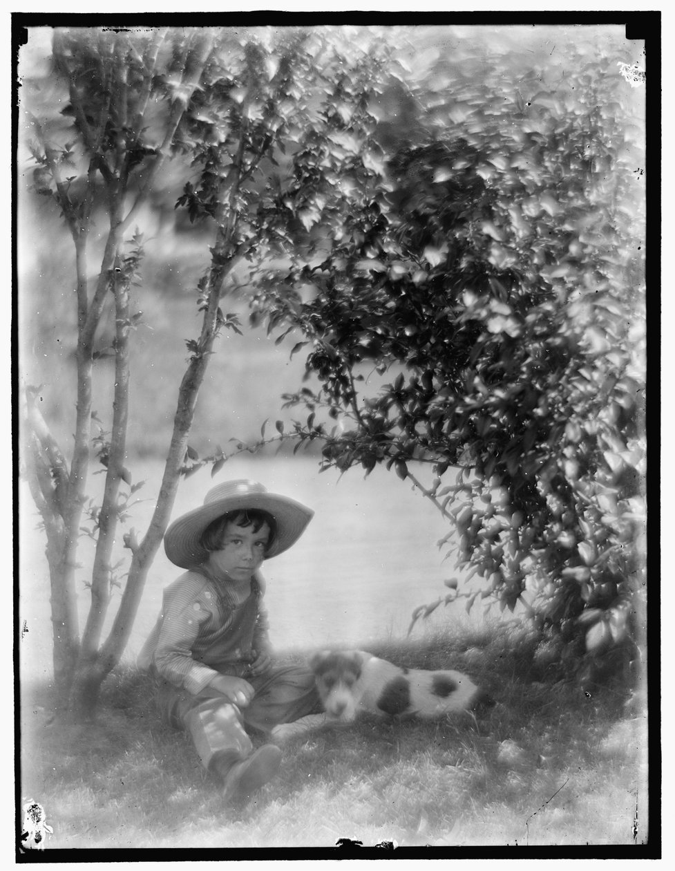 Jongen met Hond door Gertrude Käsebier