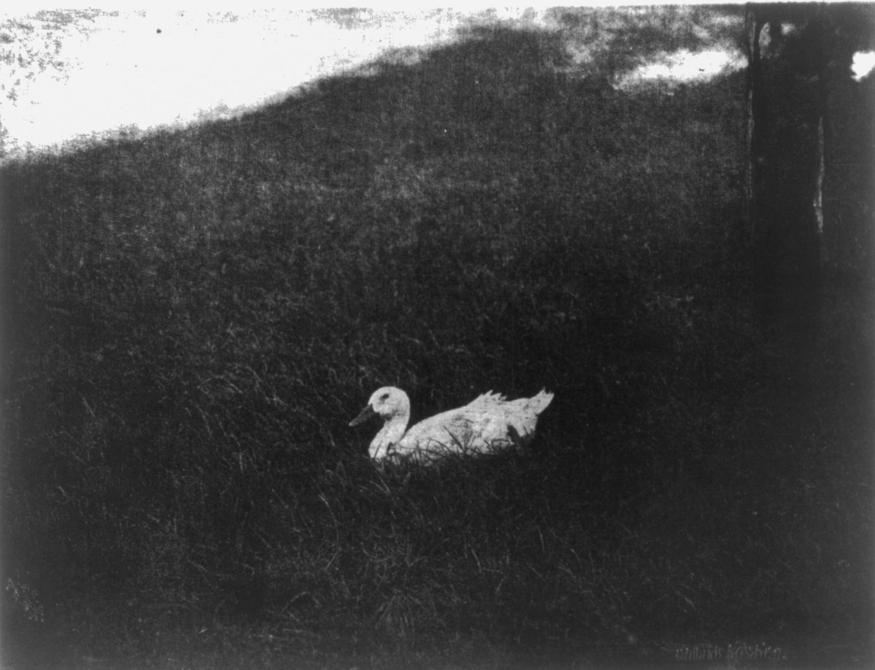 Het eenvoudige leven door Gertrude Käsebier