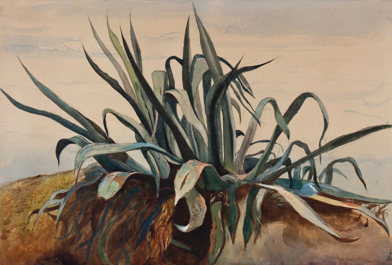 Studie van een agave, met toevoegingen door een Borbone leerling door Giacinto Gigante
