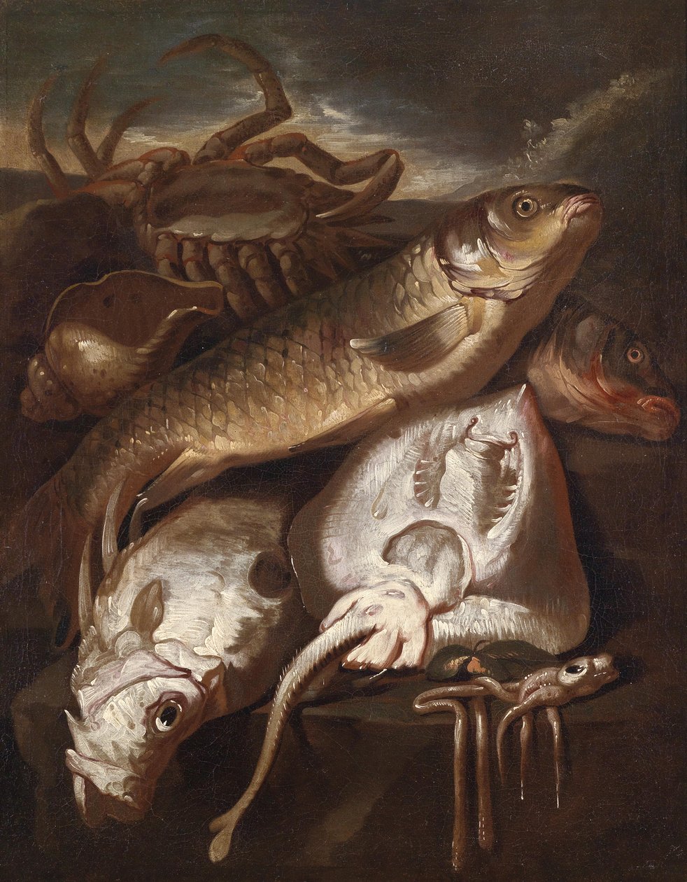 Visstilleven door Giacomo Francesco Cipper