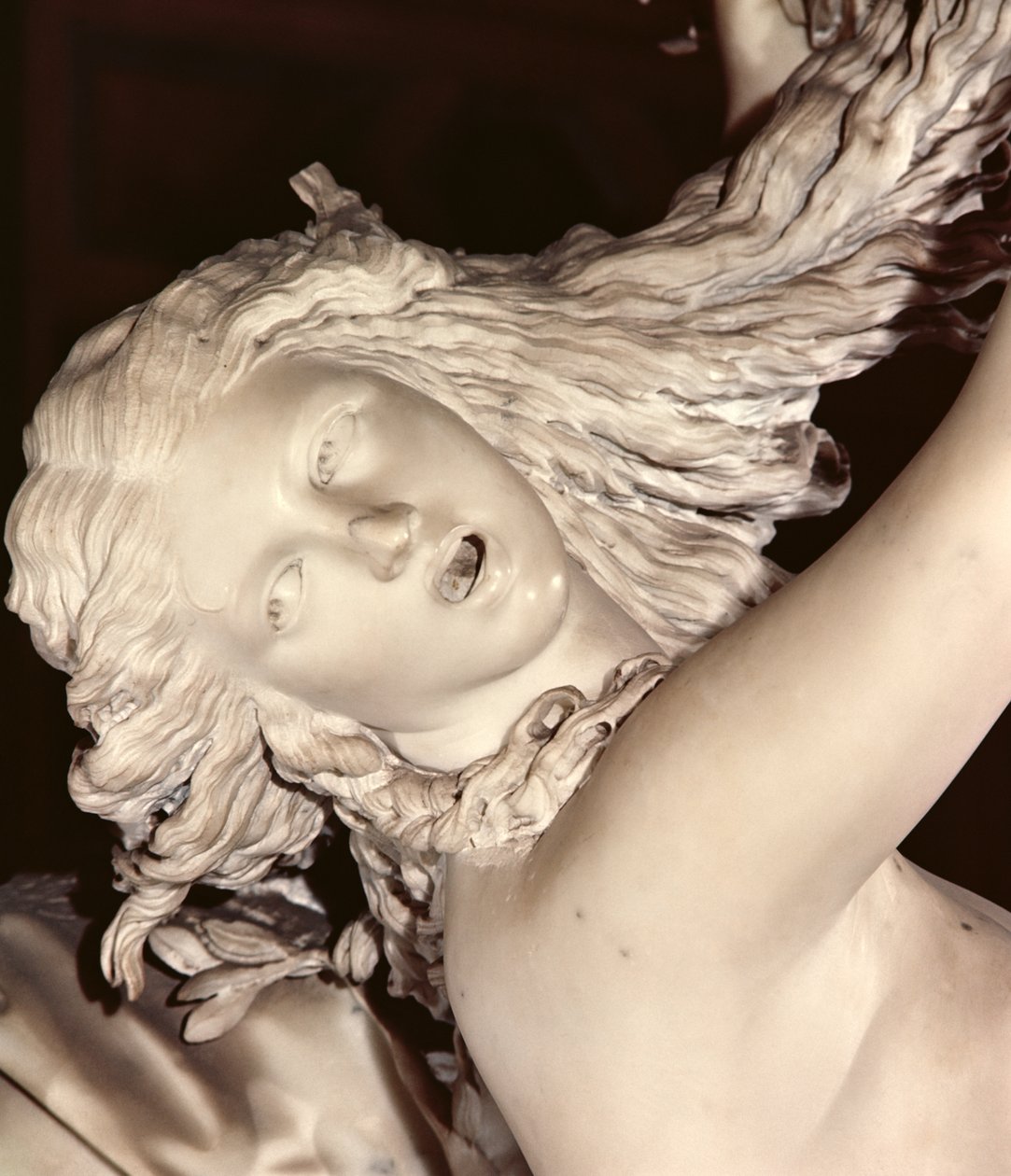 Apollo en Daphne (detail) door Gian Lorenzo Bernini
