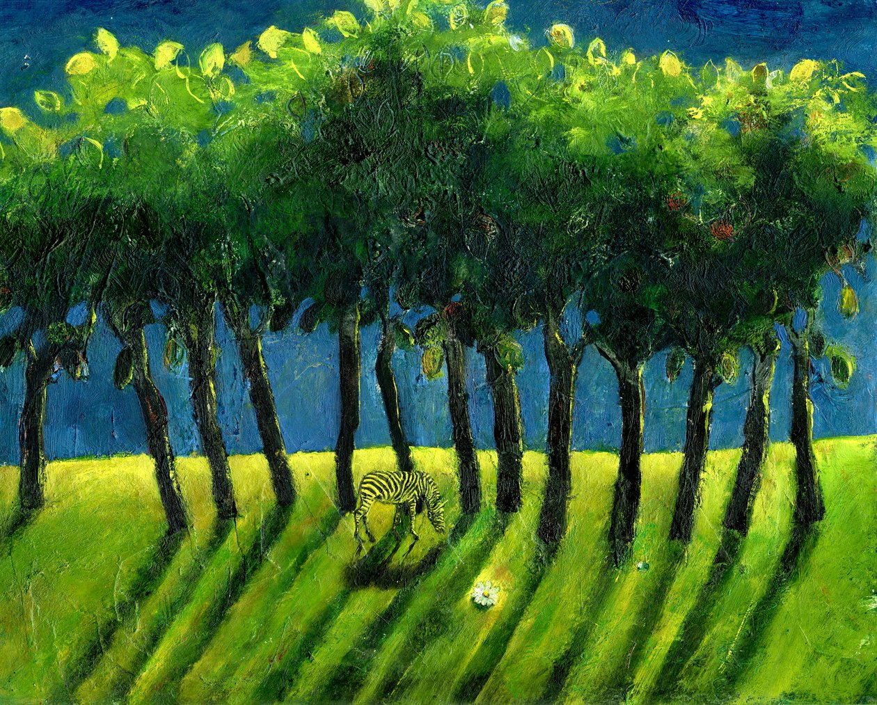 Zebra Bomen, 2005 door Gigi Sudbury