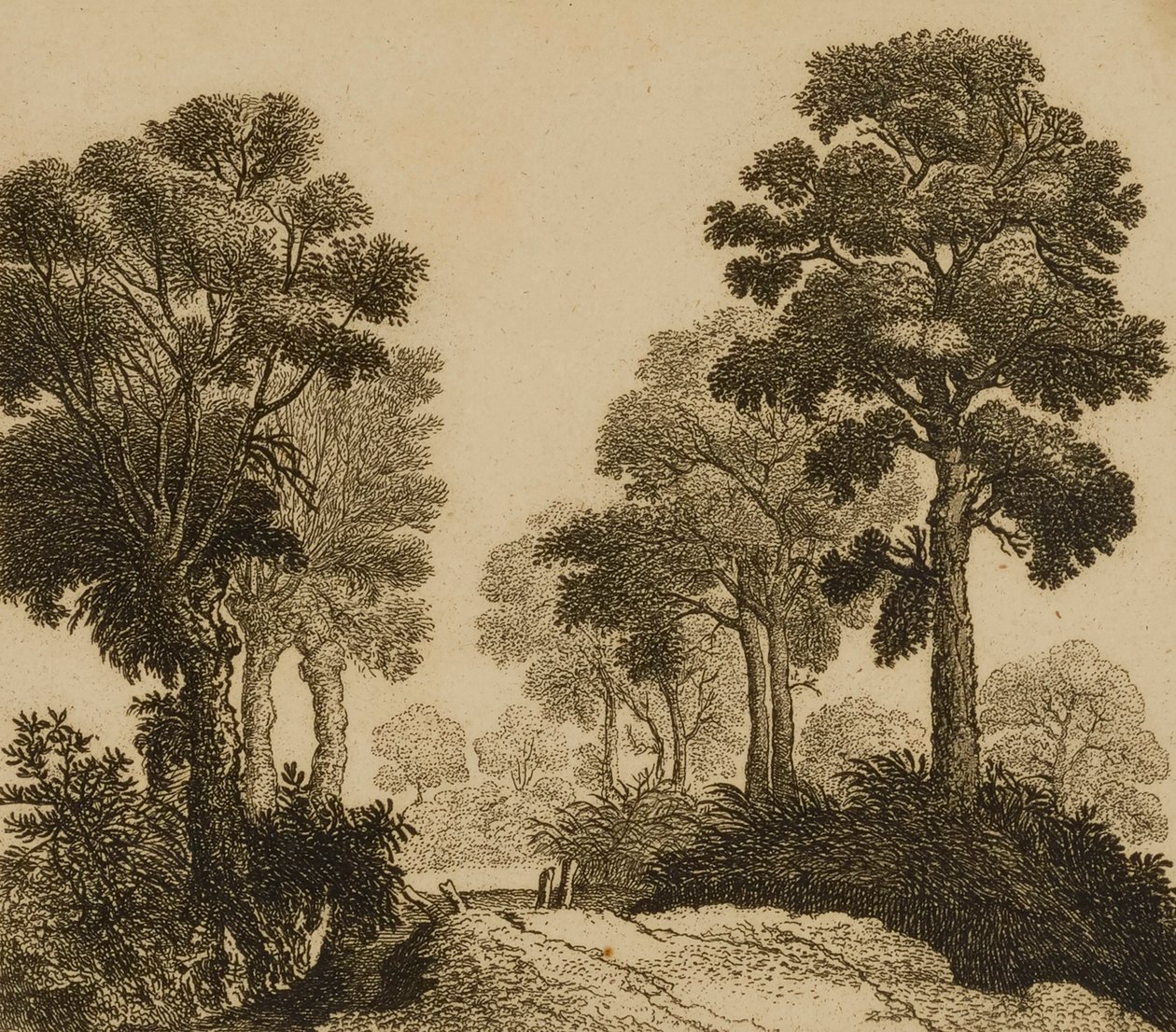 Landschap door Gillis Neyts