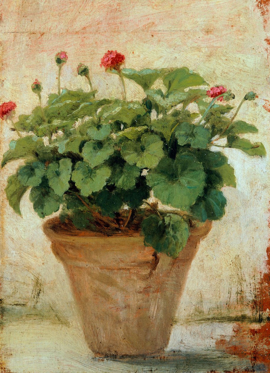 Vaas met geranium door Gioacchino Toma
