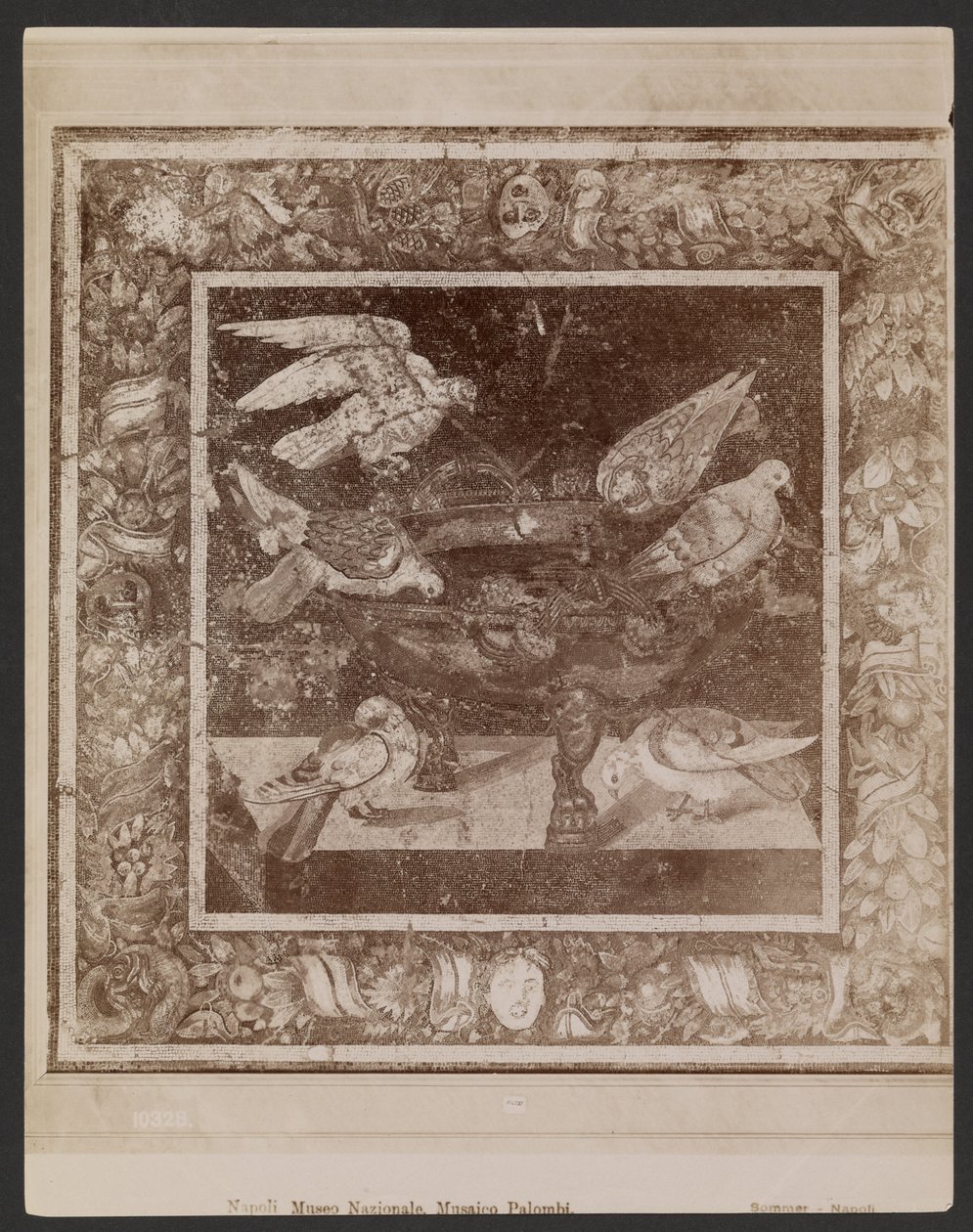 Palombi mozaïek, Napels Nationaal Museum door Giorgio Sommer
