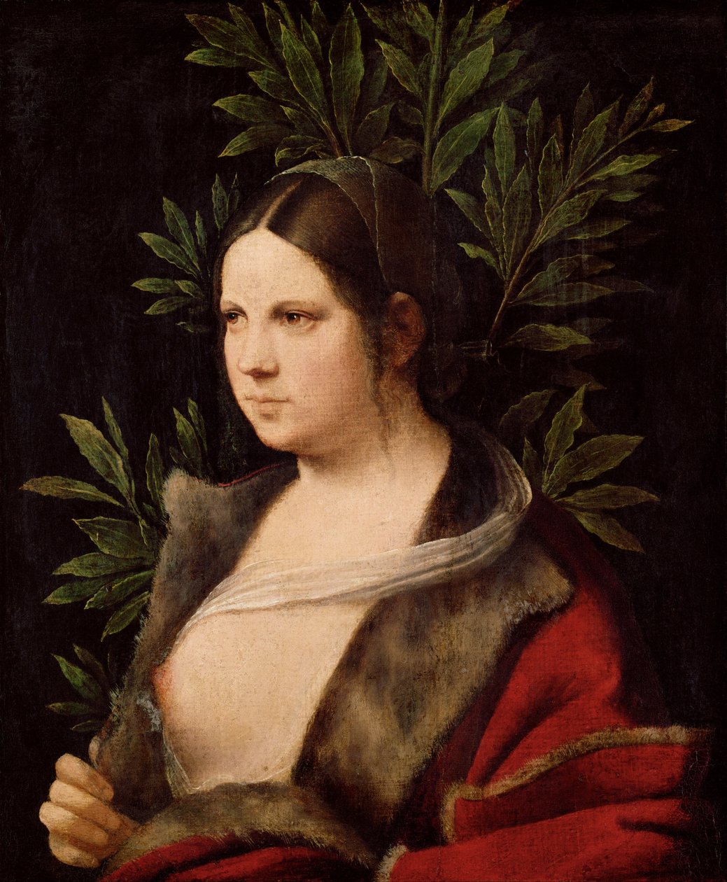 Jonge vrouw ("Laura") door Giorgione