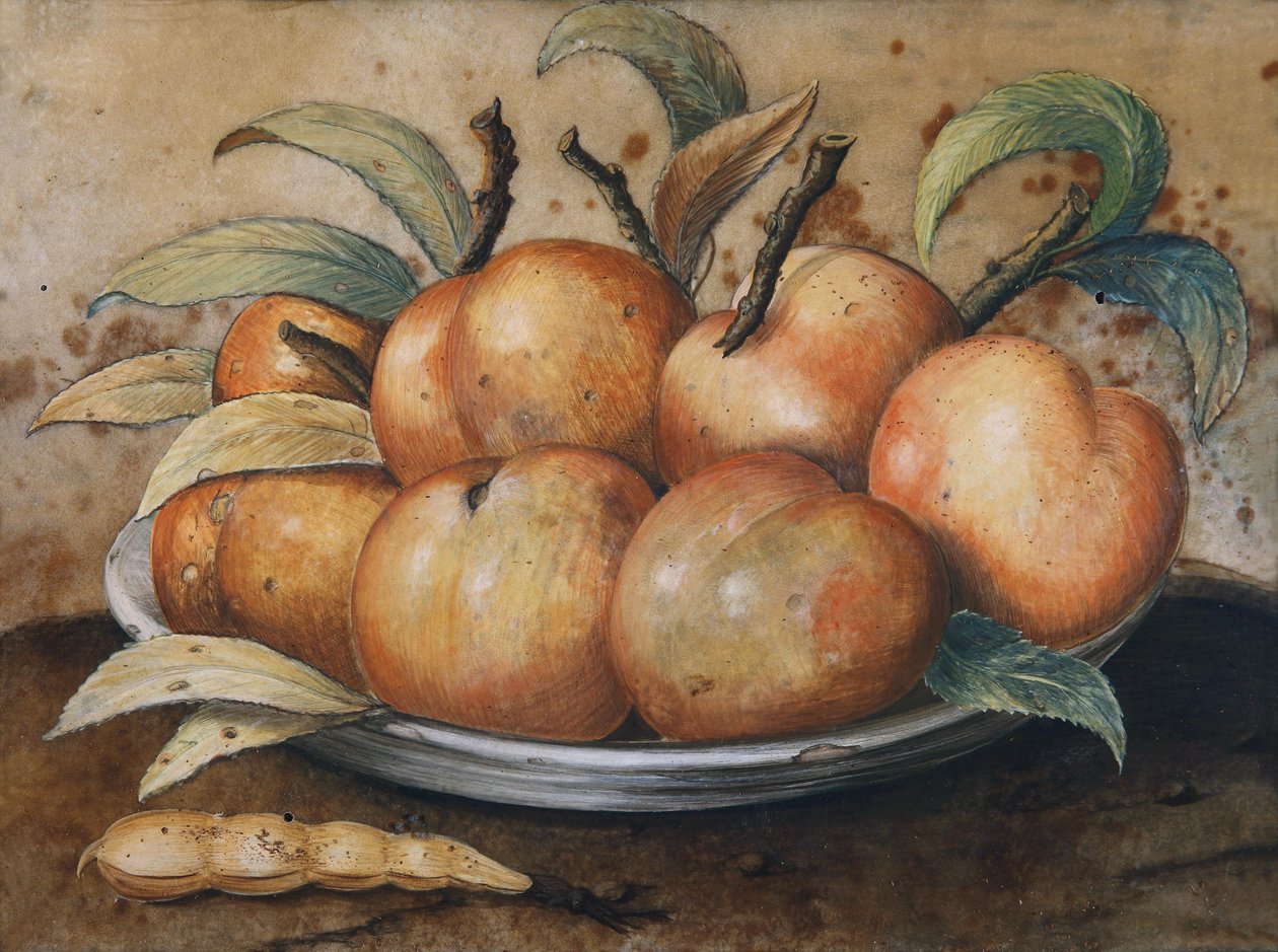 Stilleven met perziken en johannesbrood door Giovanna Garzoni