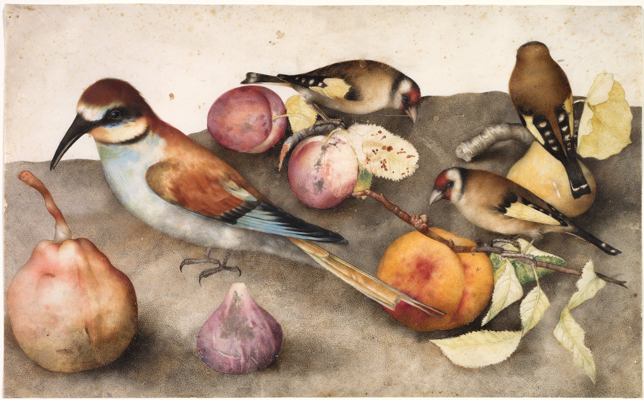 Stilleven met Vogels en Fruit door Giovanna Garzoni