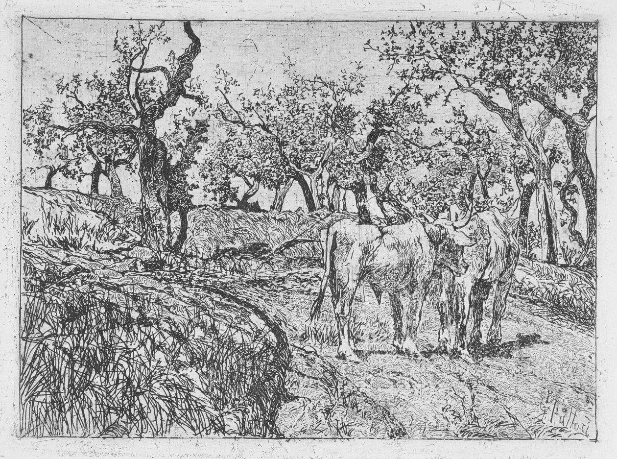 Vee tussen olijfbomen door Giovanni Fattori