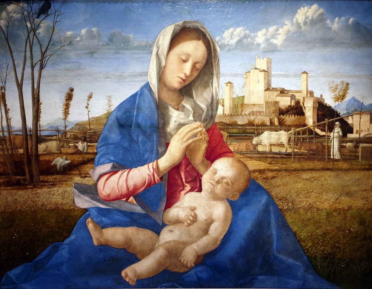 Madonna van de weide door Giovanni Bellini