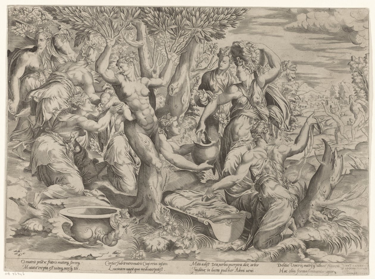 Geboorte van Adonis door Girolamo Fagiuoli (attributed to)
