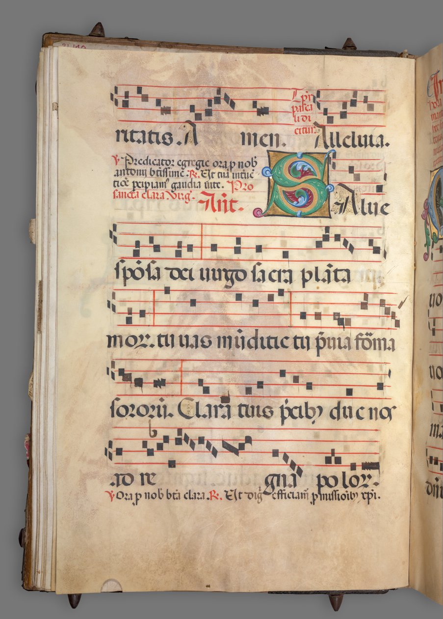 Geleidelijk door Girolamo dai Libri