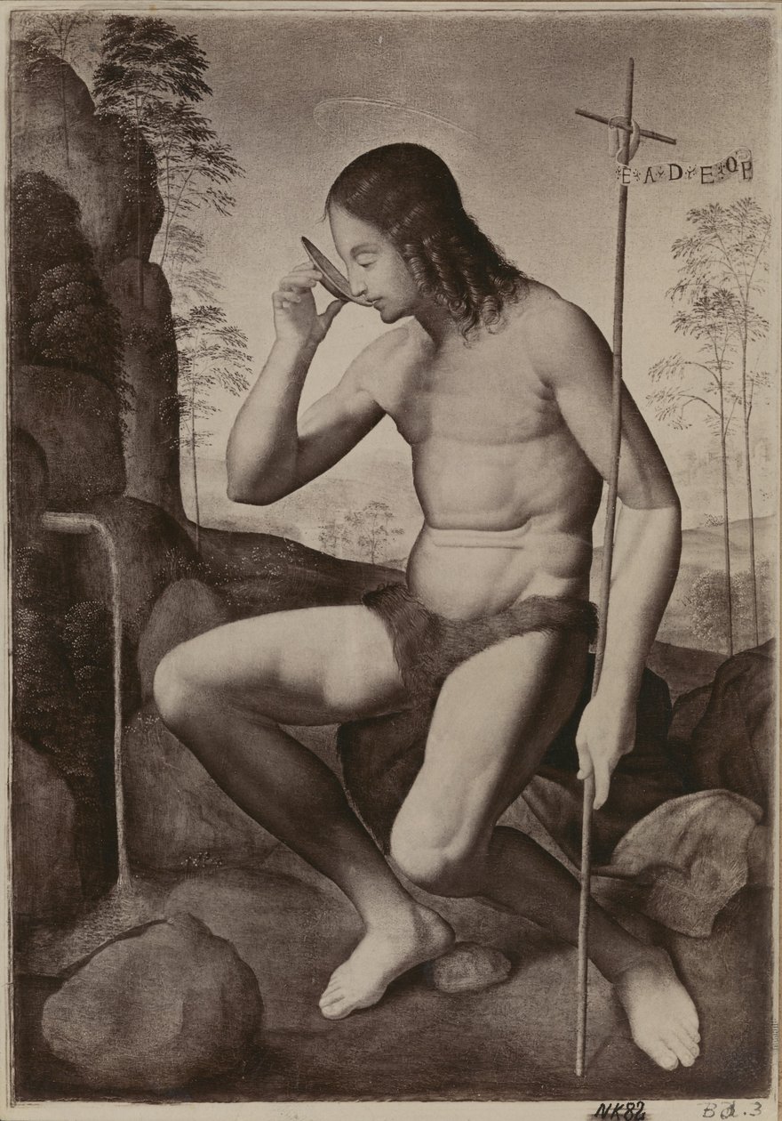 Johannes de Doper in de woestijn door Giuliano Bugiardini