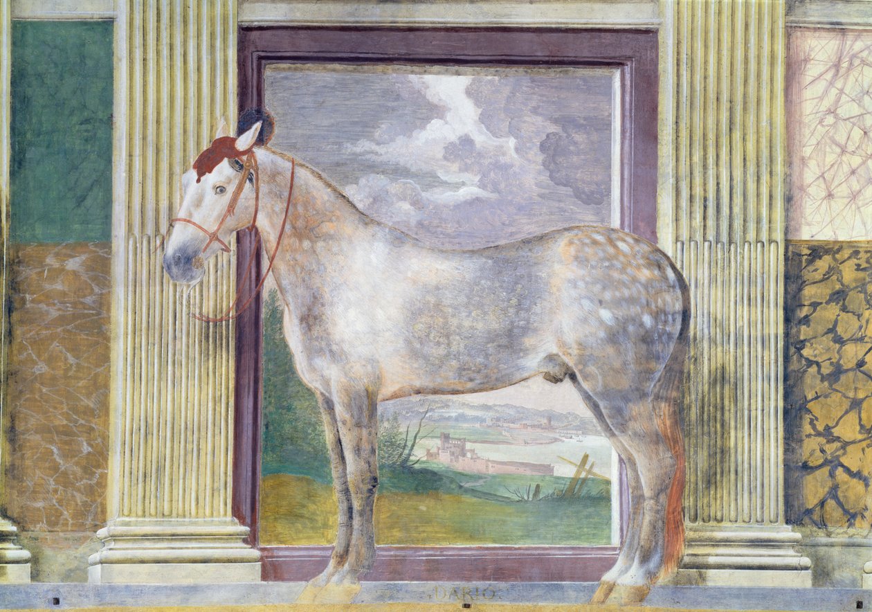 Sala dei Cavalli, detail (portret van 