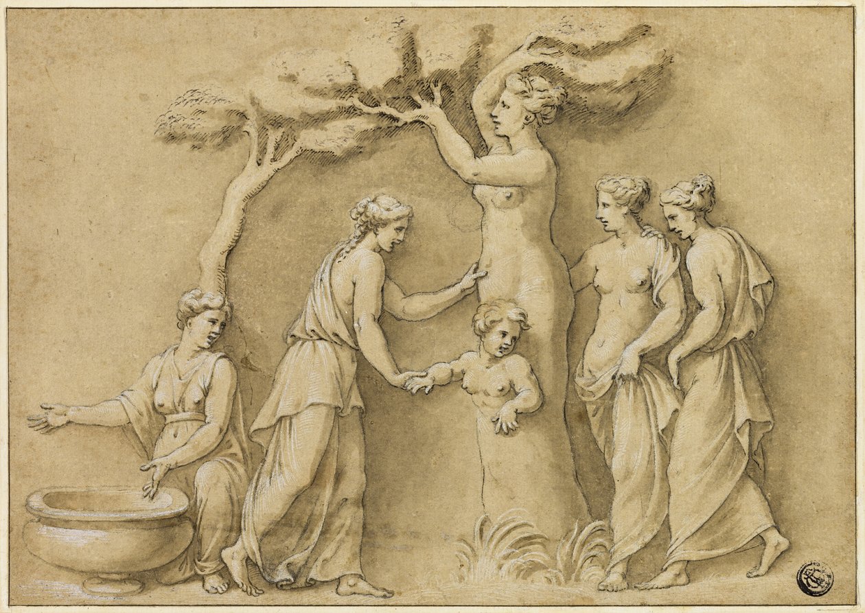 Geboorte van Adonis door Giulio Romano