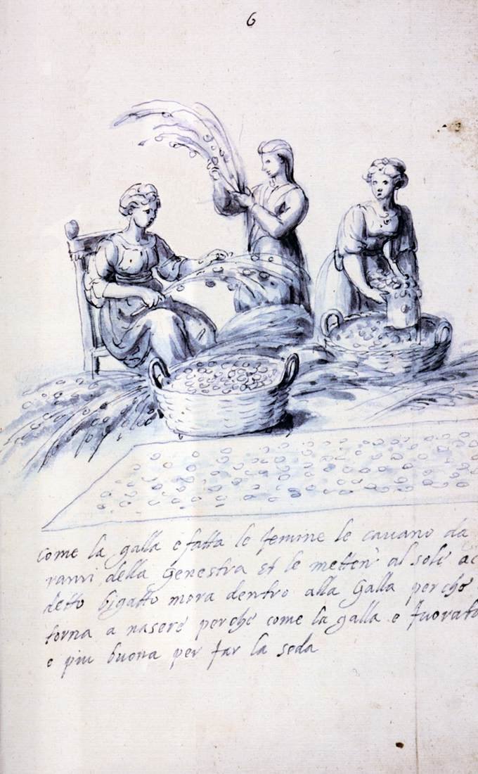 Verhandeling over zijdecultuur en -productie door Giuseppe Arcimboldo