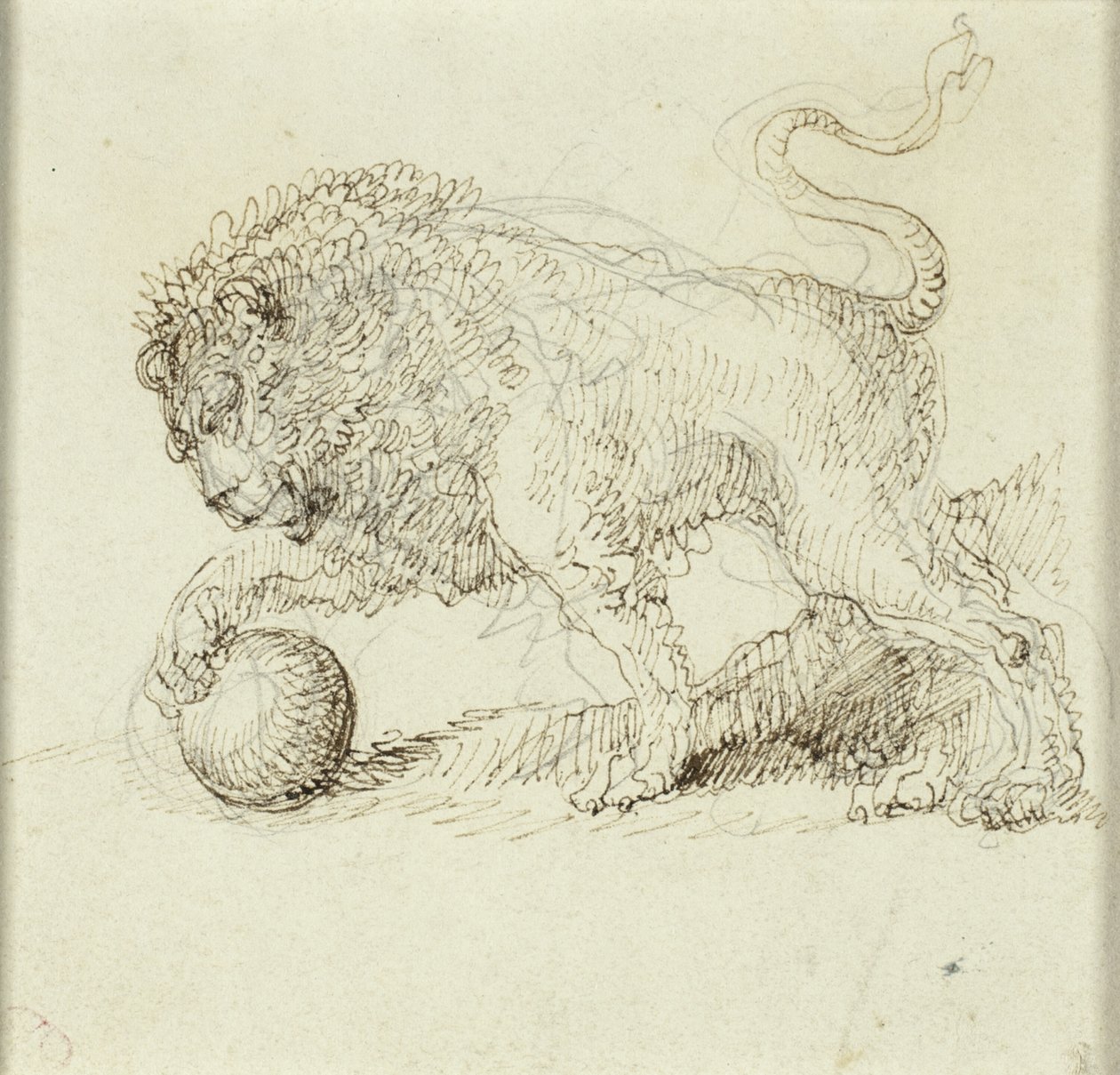 Leeuw met Bal door Giuseppe Bernardino Bison