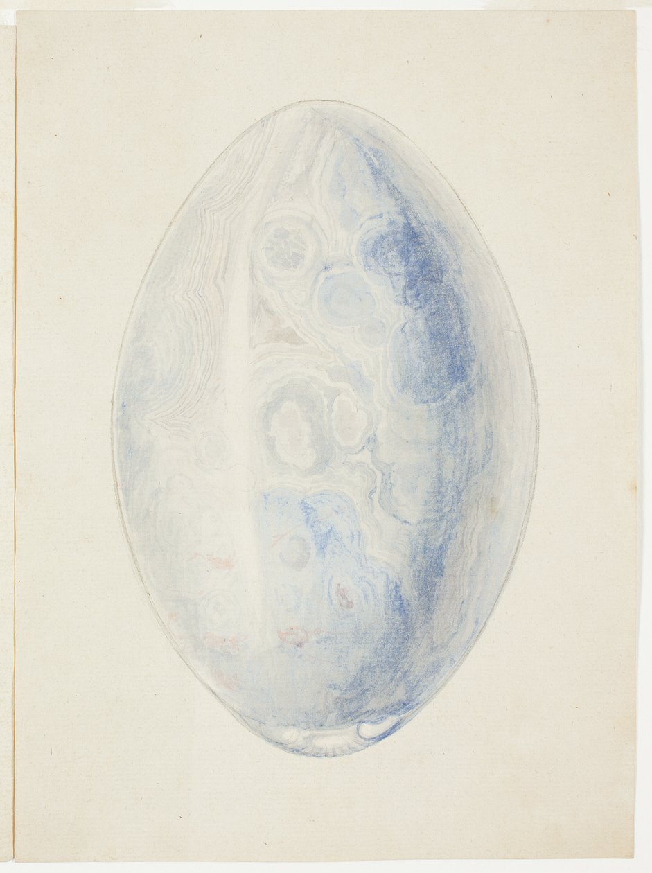 Overzicht van ovale schelpsteen door Giuseppe Grisoni