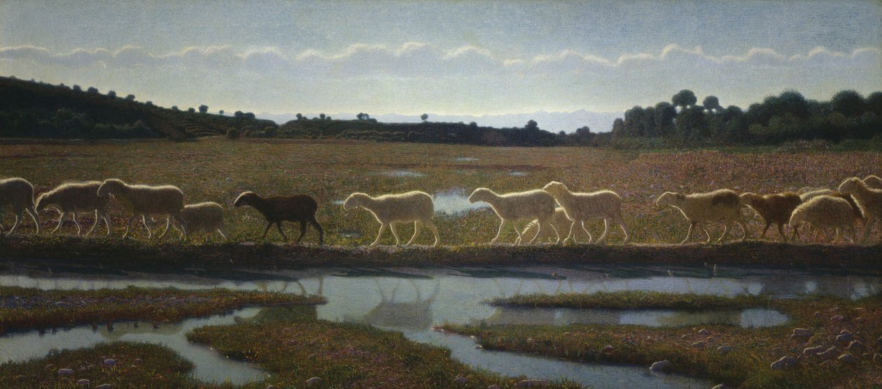 De spiegel van het leven door Giuseppe Pellizza da Volpedo