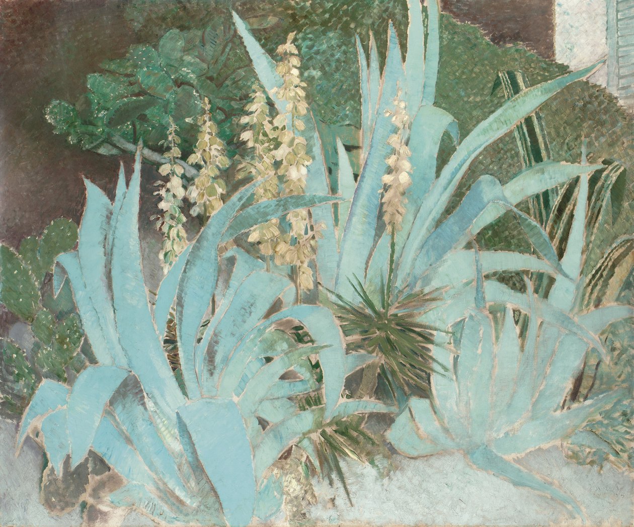 Cactus door Glyn Warren Philpot