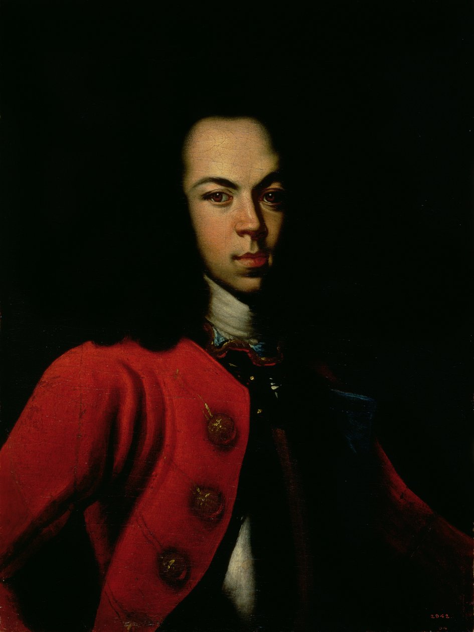 Portret van de tsarevitsj Alexei Petrovich (1690-1718) 1710 door Gottfried Danhauer