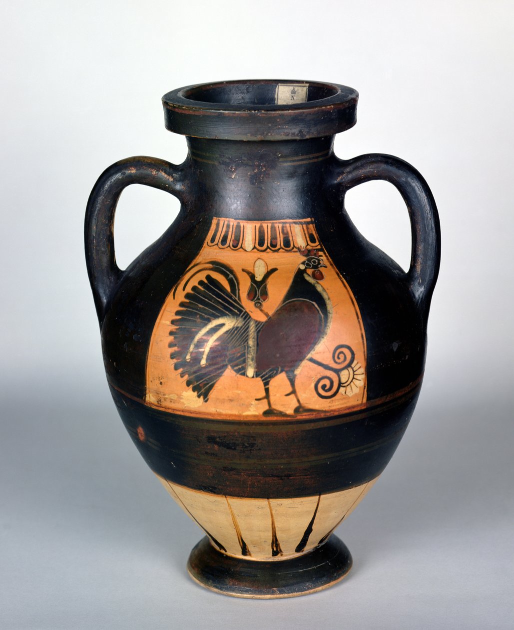 Amphora met afbeelding van een haan, Korinthische stijl door Greek