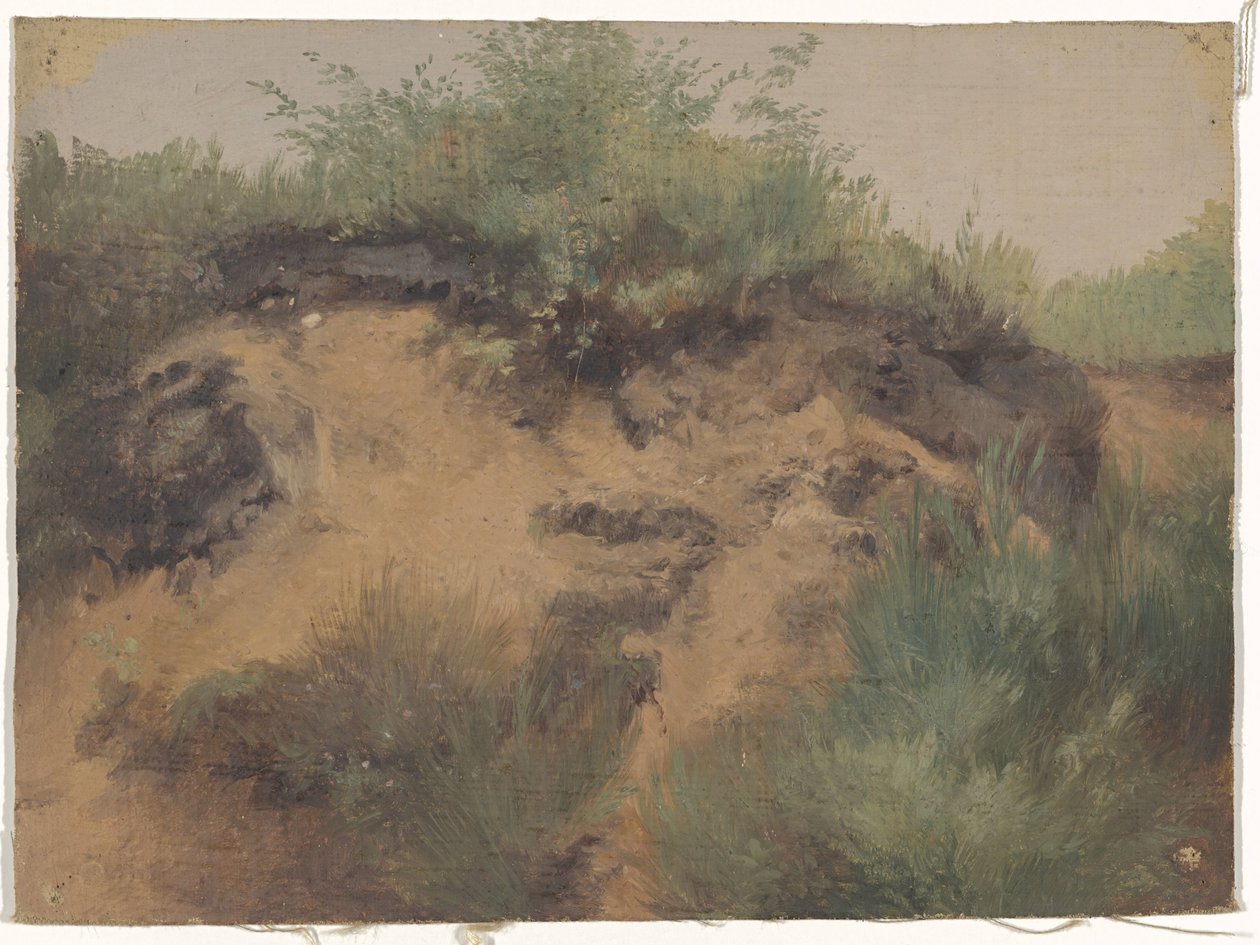Duinpan door Guillaume Anne van der Brugghen