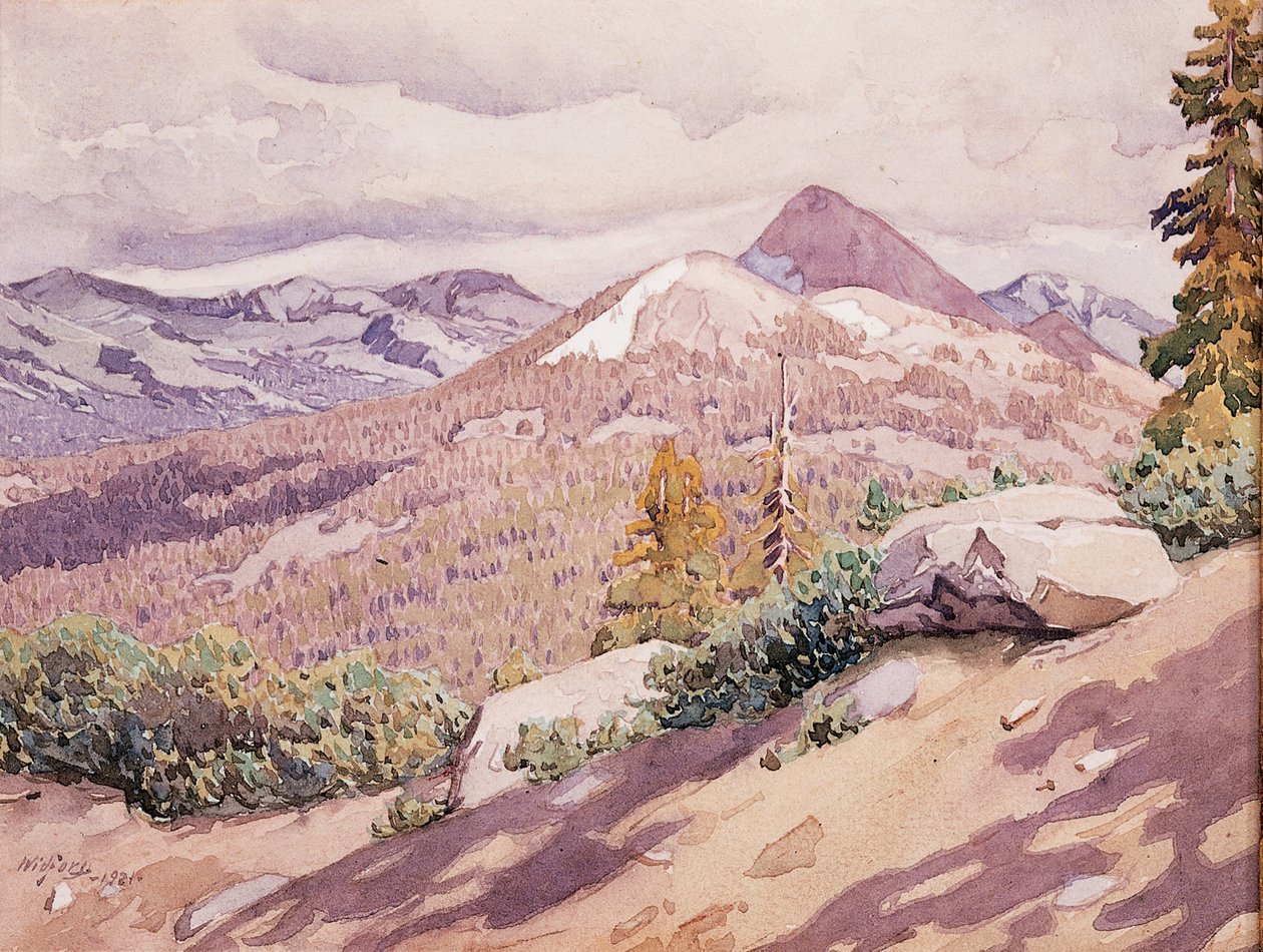 High Sierra door Gunnar Widforss