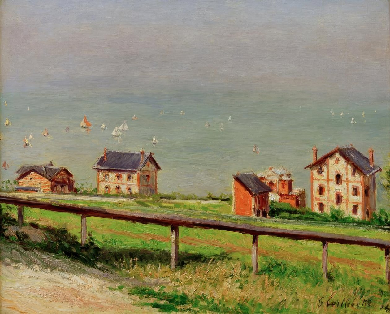 Regatta