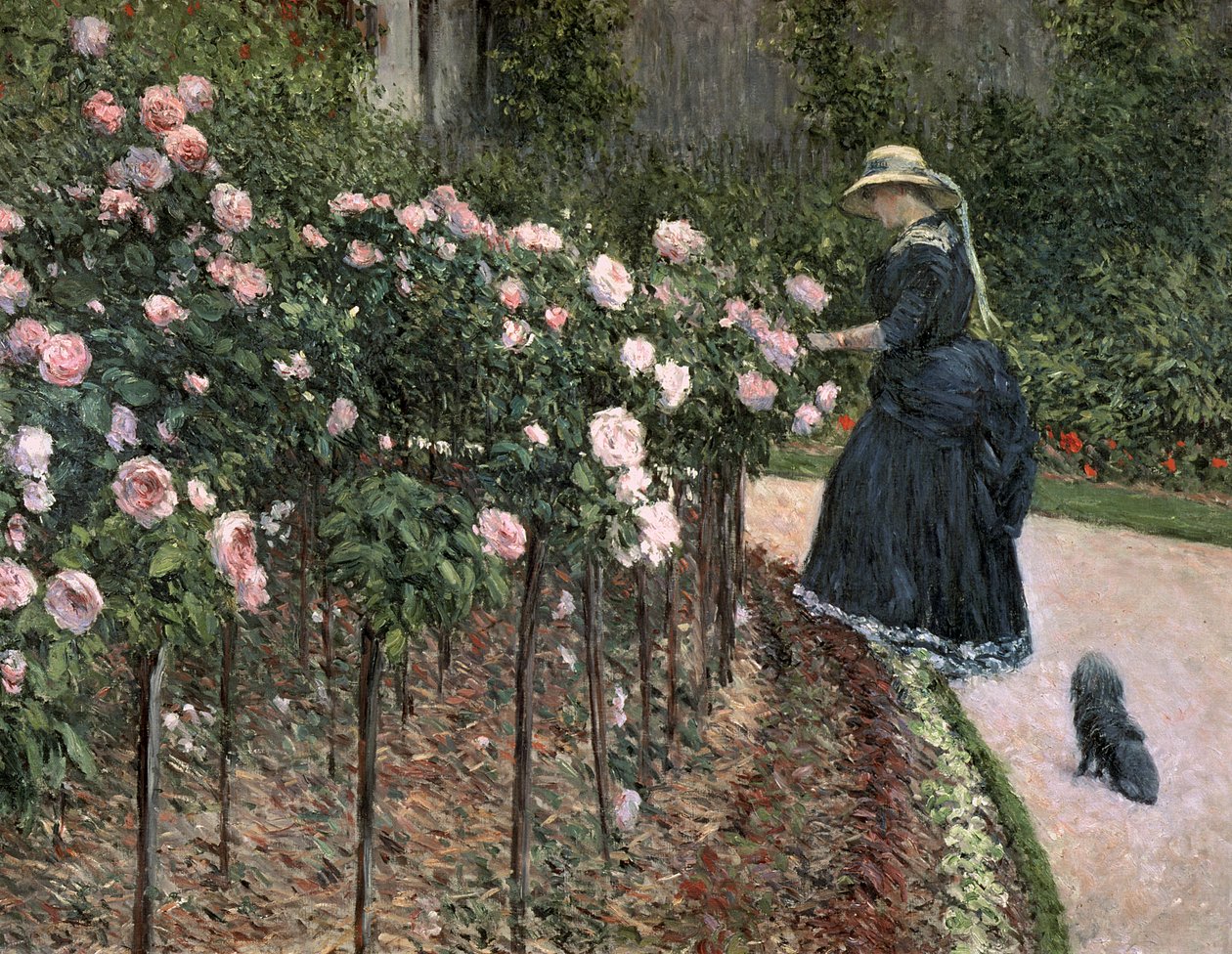 Rozen in de tuin van Petit Gennevilliers, 1886 door Gustave Caillebotte