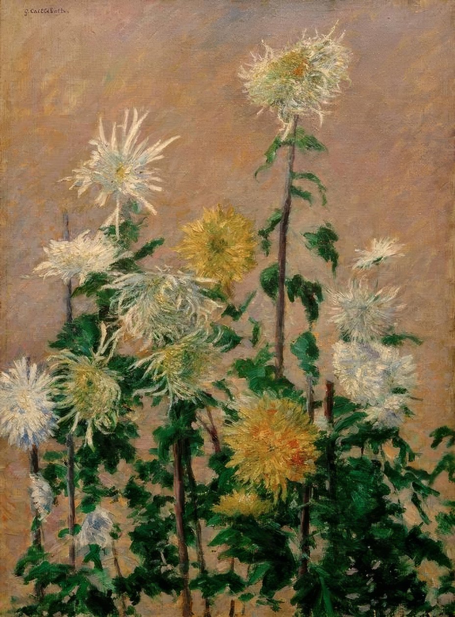 Witte en gele chrysanten door Gustave Caillebotte