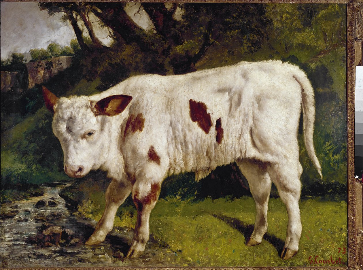 Het kalf door Gustave Courbet