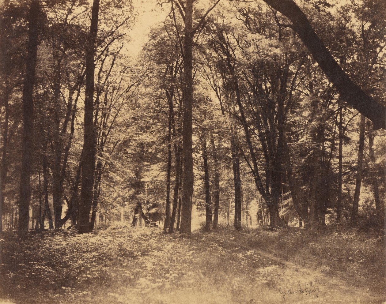 Bos Scène door Gustave Le Gray