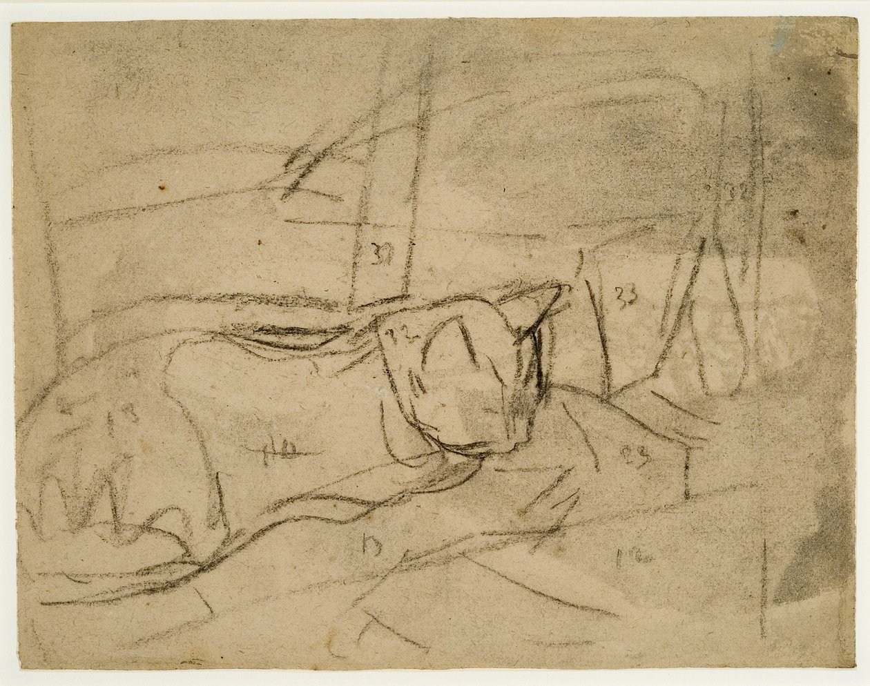 Kattenstudies door Gwen John