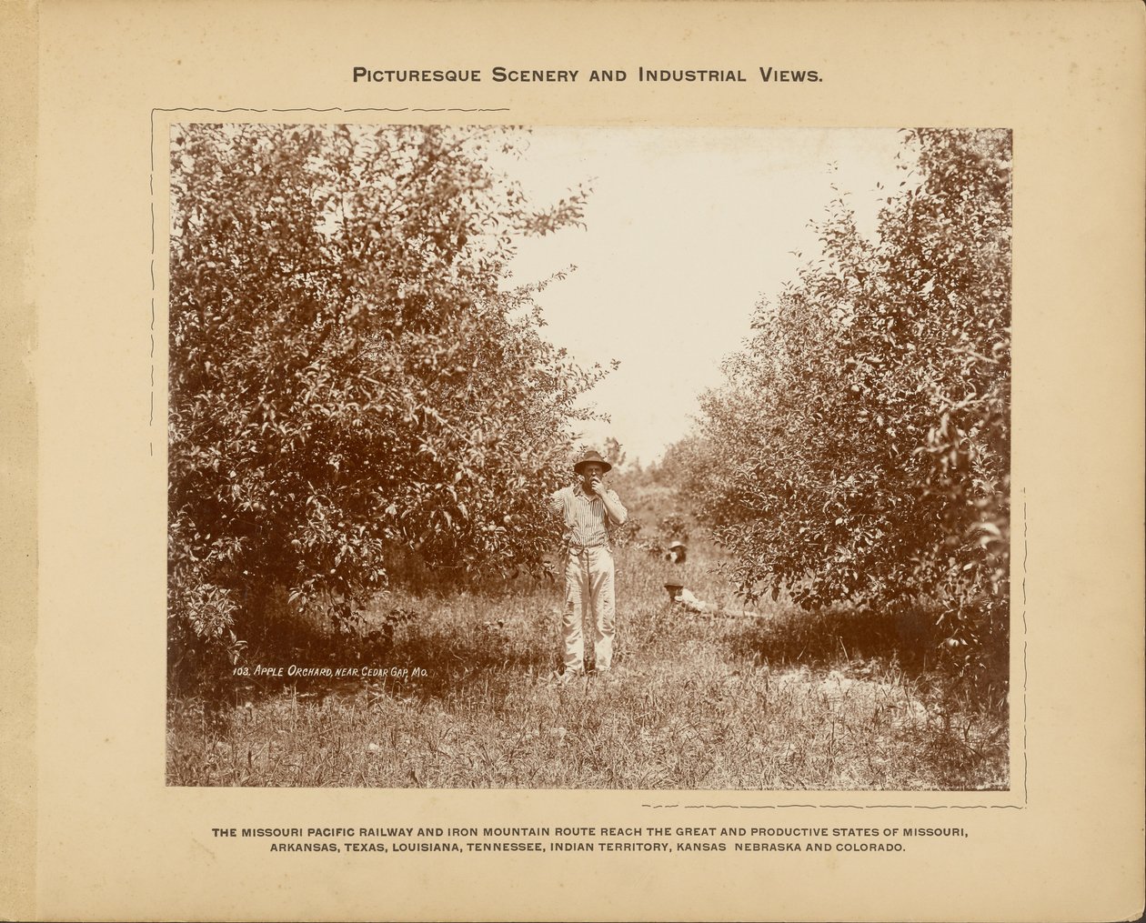 Appelboomgaard, bij Cedar Gap, Missouri door H. C. Townsend