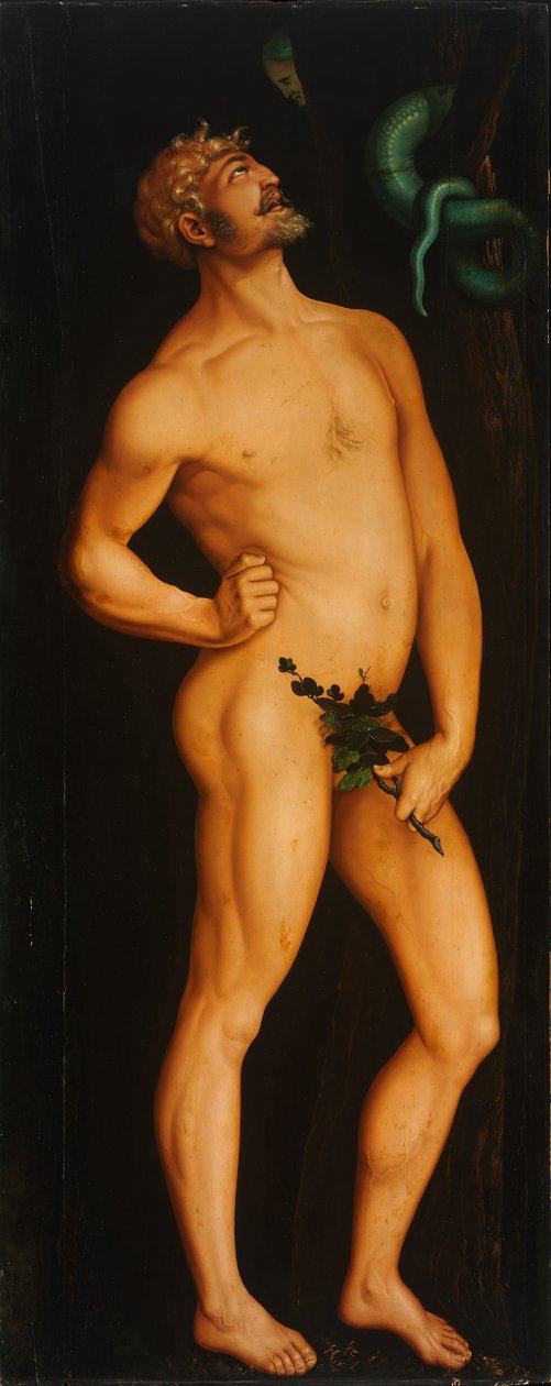 Adam door Hans Baldung Grien