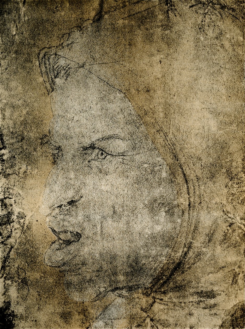 Hoofd van een dwaas door Hans Baldung Grien