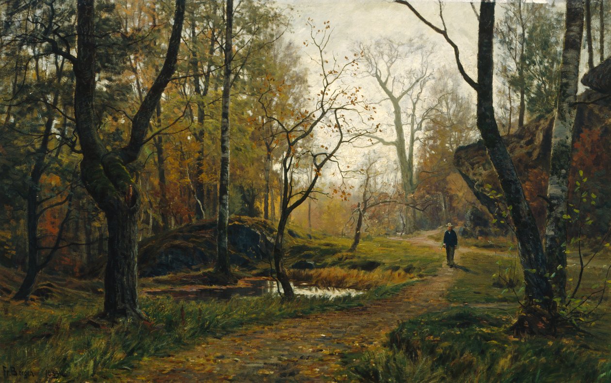 Ochtendsfeer door Hans Fredrik Henriksen Borgen