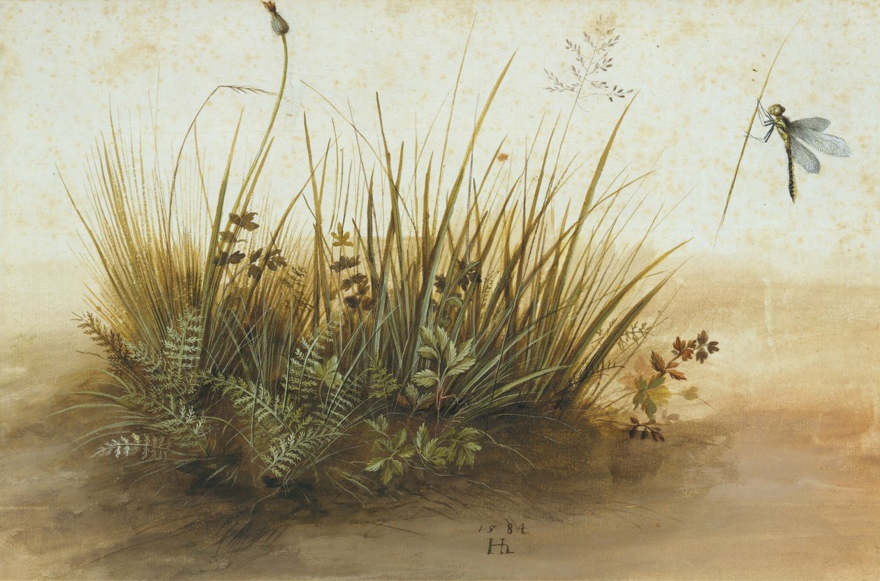 Een Klein Stukje Gras door Hans Hoffmann