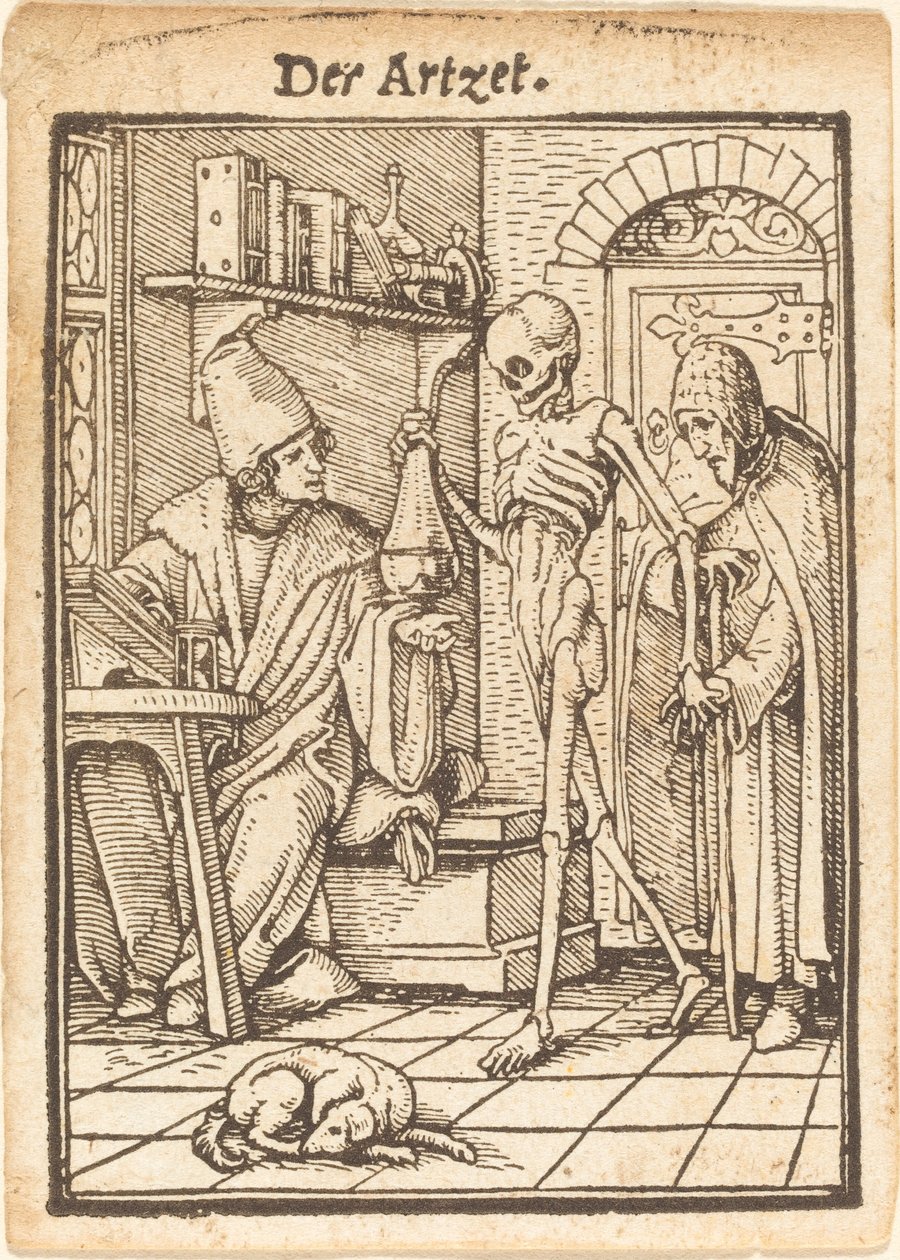 De Arts door Hans Holbein der Jüngere