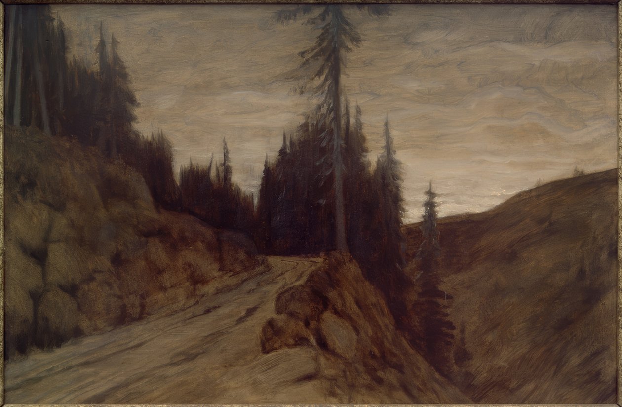 Sparren in de schemering door Hans am Ende