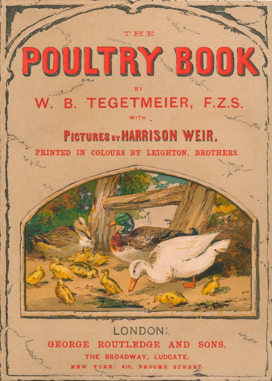 Het Pluimvee Boek door Harrison Weir