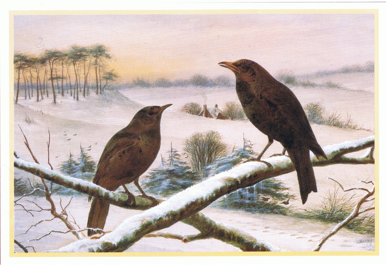 Merels door Harry Bright
